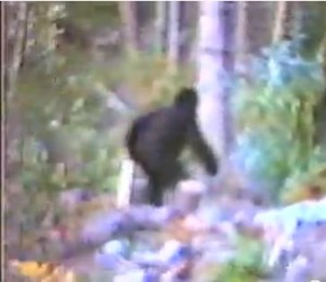 Seattle Bigfoot Video