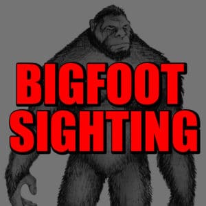 Real Bigfoot Sighting
