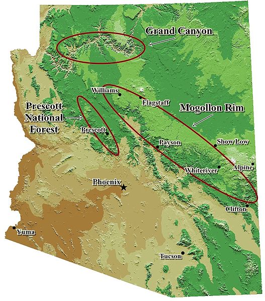 Mogollon Monster Range