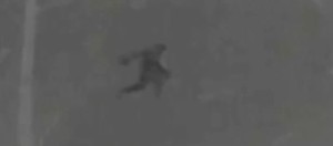 Stacy Brown Bigfoot Thermal Image