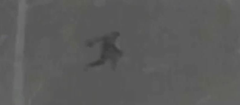 Stacy Brown Bigfoot Thermal Image