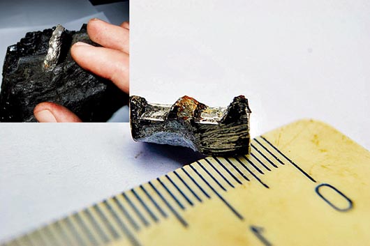 300-million-year-old UFO tooth-wheel