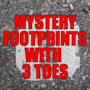 Mystery of the three toed footprints