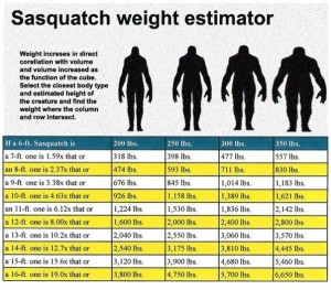 Bigfoot weight size chart
