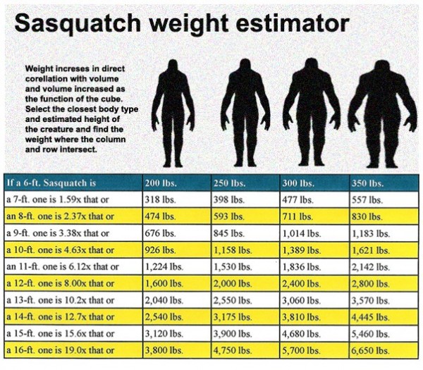 Bigfoot weight size chart