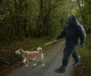 Does Bigfoot befriend dogs?