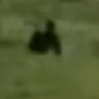 Bigfoot accidentally filmed in IMAX documentary