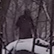 Possible Bigfoot Sighting in New Jersey