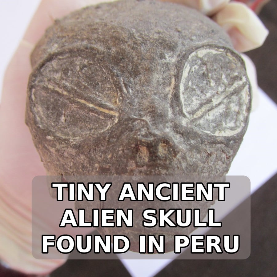 tiny ancient alien skull found in peru