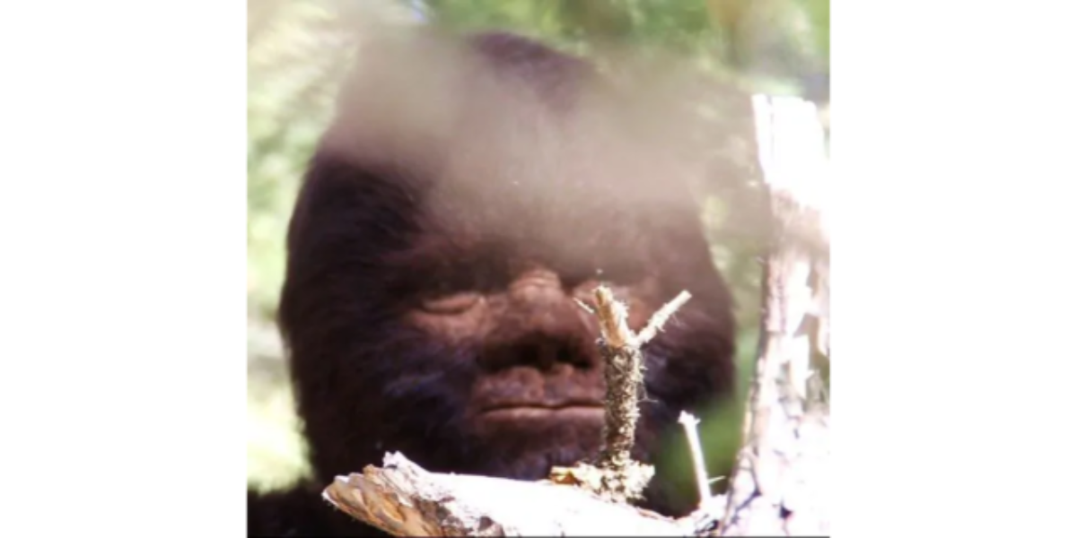 Discovering Bigfoot Movie Reviewed – ParaRational