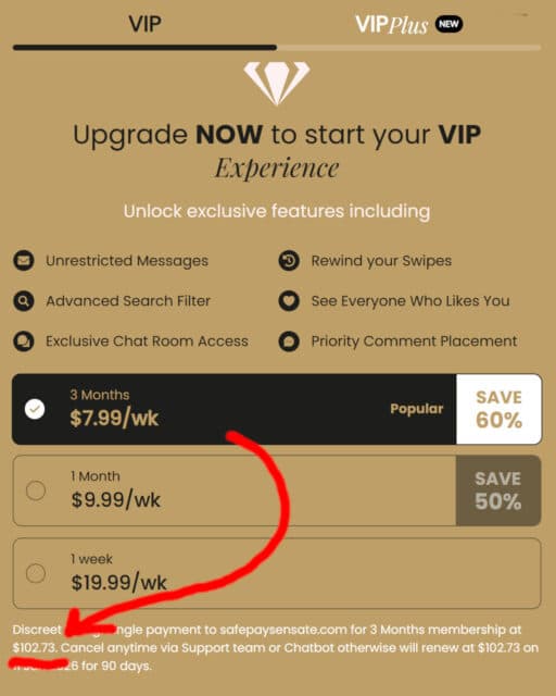 Paranormal Date 2025 VIP cost
