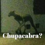 The shocking truth behind the monster terrorizing Sante Fe Argentina
