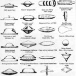 Gallery of common UFO shapes