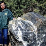 Wizard Rock that disappeared then reappeared