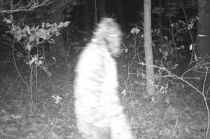 Macatawa Bigfoot photo