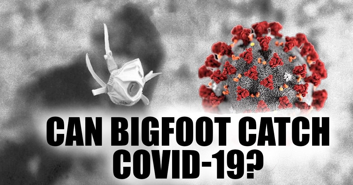 Bigfoot-catch-covid-19.jpg