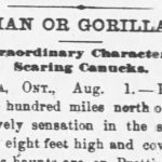 1800s Bigfoot news clipping