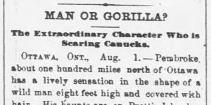 1800s Bigfoot news clipping