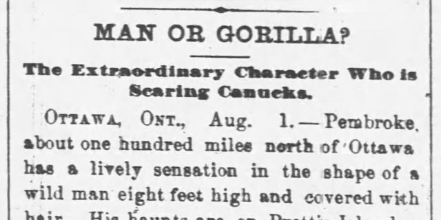 1800s Bigfoot news clipping