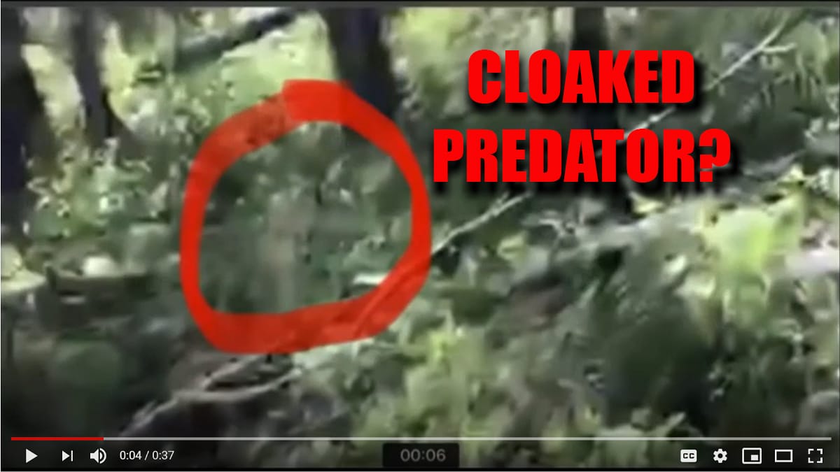 video of cloaked predator