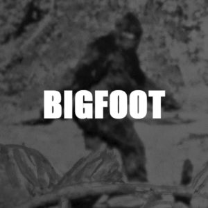 Bigfoot Articles
