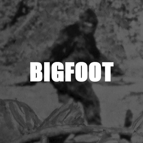 Bigfoot Text