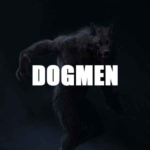 dogmen