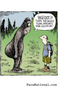 Bigfoot Meme nicest thing anyone has ever said