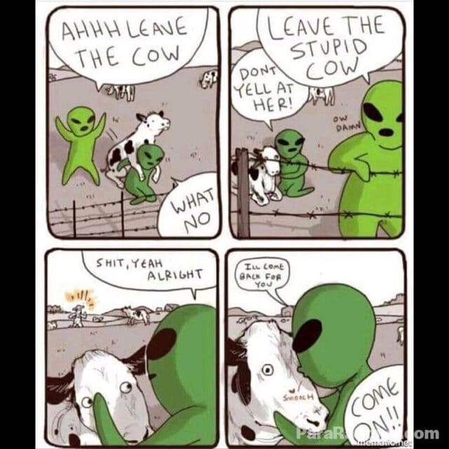 ufo meme -  aliens love cows