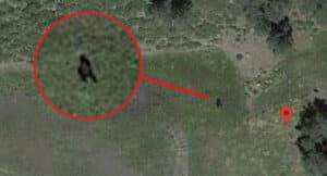 Bigfoot captured in Google Earth photo in Colorado