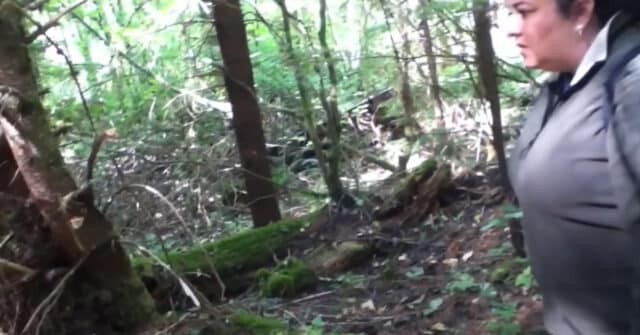 Juvenile Bigfoot caught on video in Washington State