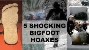 bigfoot hoaxes