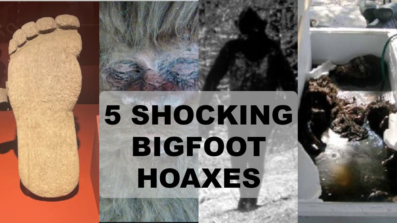 bigfoot hoaxes