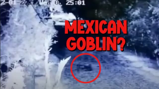 MEXICAN GOBLIN VIDEO