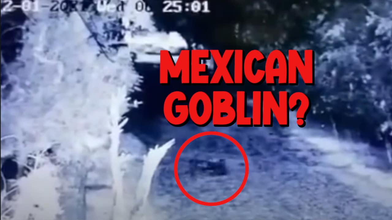 MEXICAN GOBLIN VIDEO
