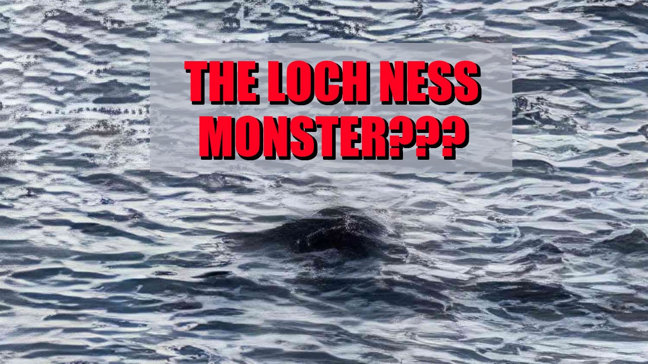 2025 Loch Ness Monster Sighting