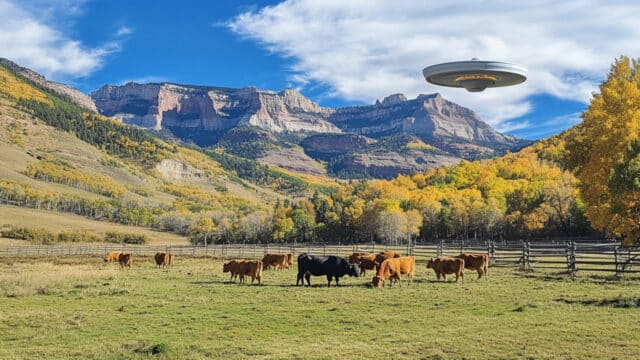 cows and UFO
