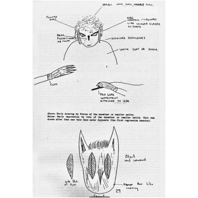 Aveley Abduction - Bat Creature