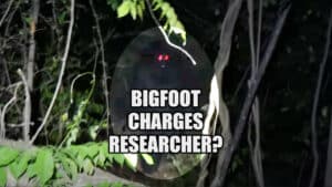 Bigfoot Charges Researcher