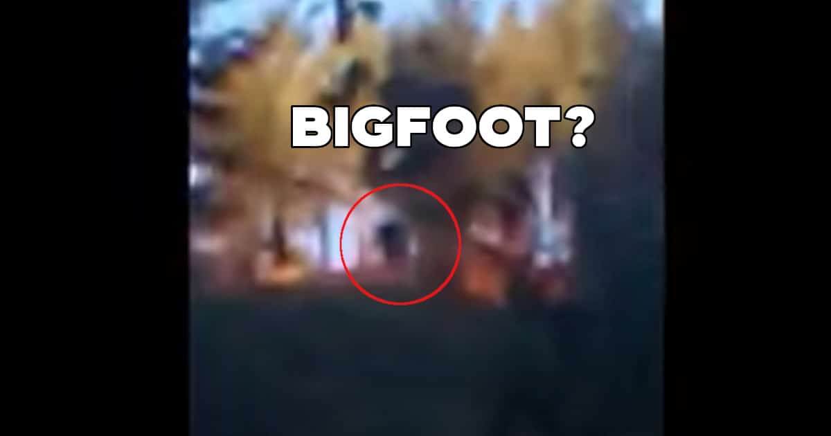 CARSON RIVER BIGFOOT