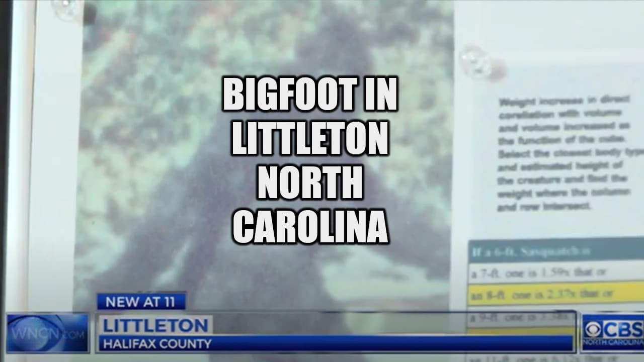 Littleton Bigfoot Sightings