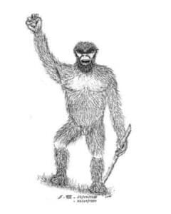 Wild man seen by Lal Khan