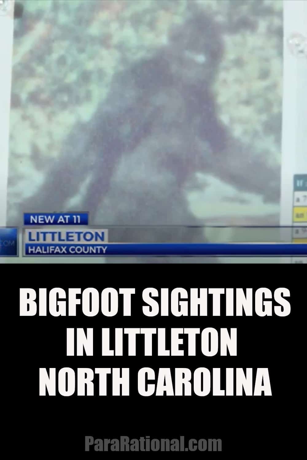 littleton bigfoot