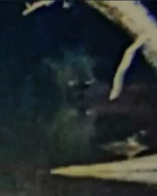 River Troll Photograph