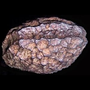 wolfsegg iron