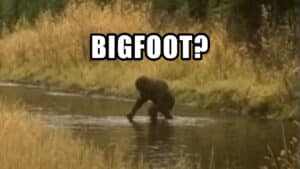 Possible Bigfoot sighting in New Hampshire