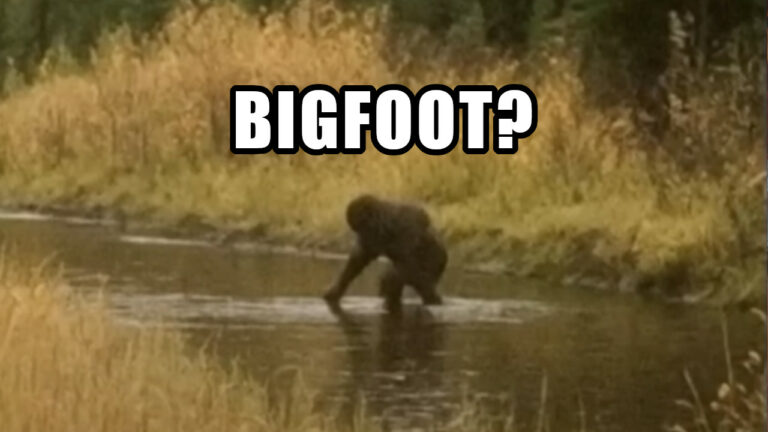 Possible Bigfoot sighting in New Hampshire