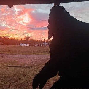 Bigfoot Museum of Oklahoma