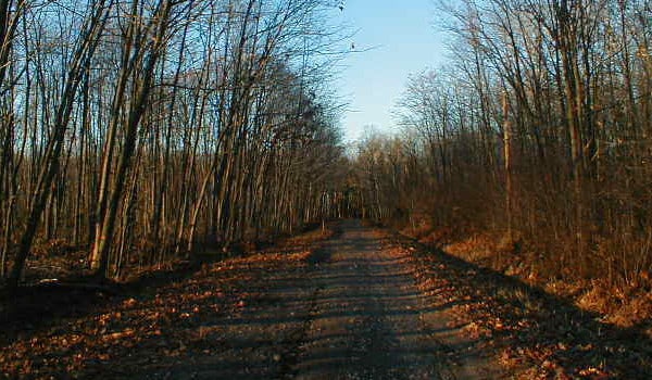 Boy Scout Lane
