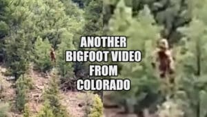 Colorado Bigfoot sighting